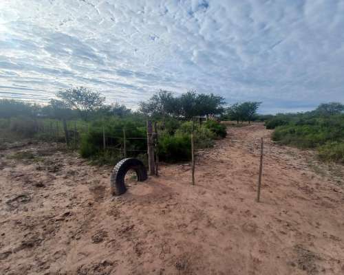 Vendo 56 Hectáreas. Colonia Dora
