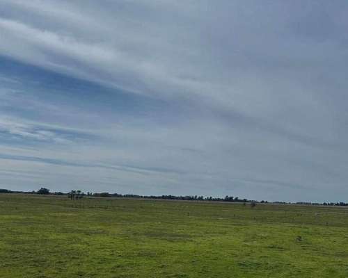 Campo en Venta Sobre Ruta 29. Ranchos