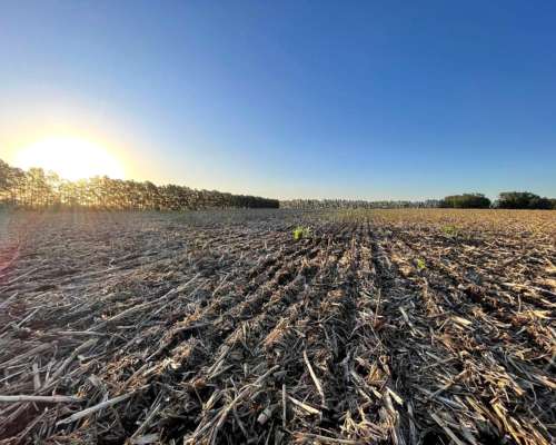 Piloto Automatico Centrix con Señal RTK - 2cm