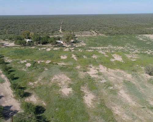 Las Catitas, Santa Rosa, Mendoza - 4.200 Ha