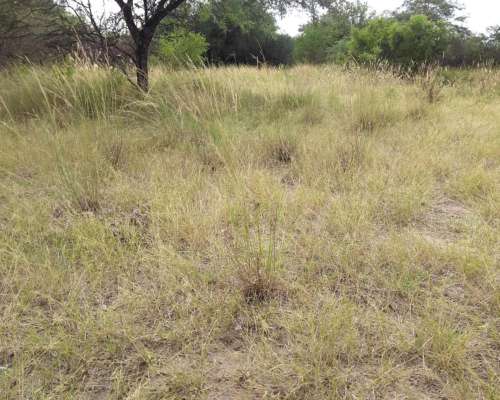 Campo en Loreto Posibilidad de Loteo