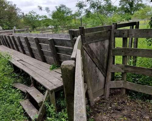 Formosa -1600 Has.- Excepcional -