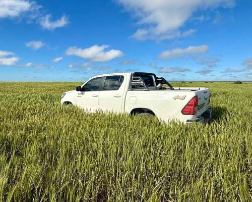 2431 Has Secano en Venta Patagones