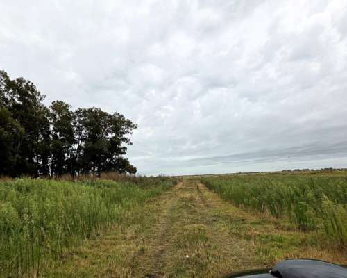 350 Hectareas Bolivar Venta