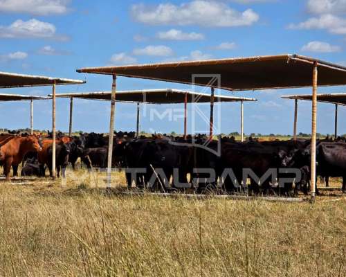 Media Sombras Estructura Metalpamp