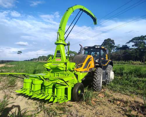 Picadora de Forraje Frontal Rohr