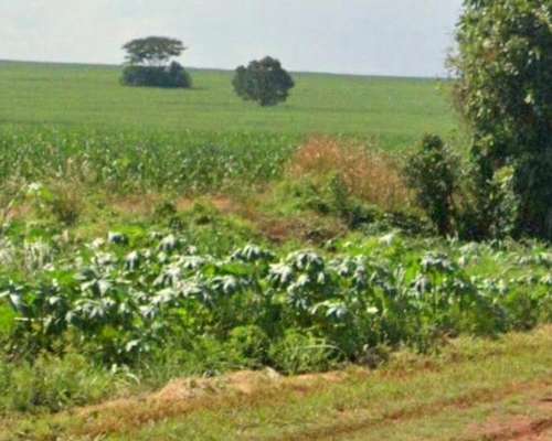 Imperdible Oportunidad Venta de Campo