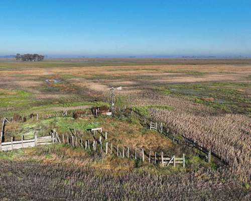 Pcia. de Buenos Aires - Carmen de Areco 66 Has