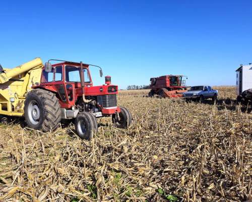 Massey Fergusson 1098 .