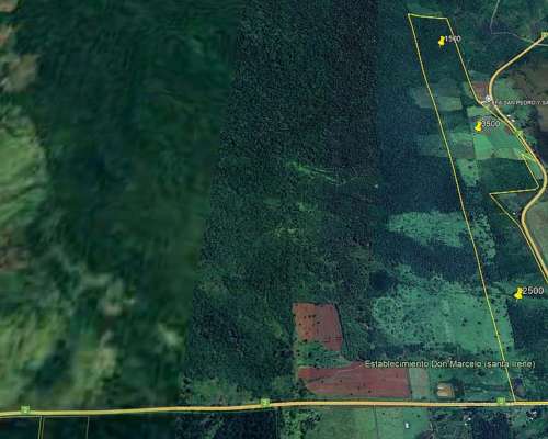 Se Vende Chacra de 82 Ha San Javier Misiones