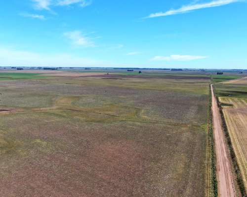 450 Has en Bolívar - BS. AS. - Mixto - Venta
