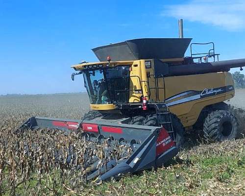 Cosechadora Challenger 680 B 2013 Excelente Estado