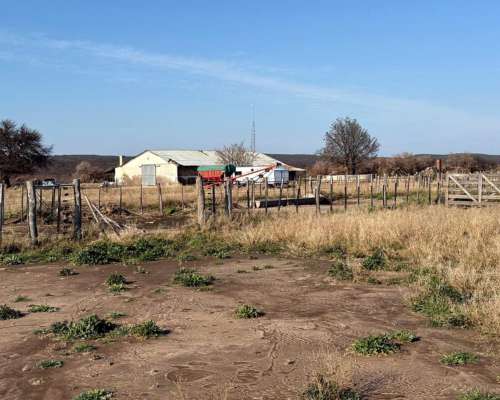 Campo en Venta – 734 Has Berraondo (villarino)