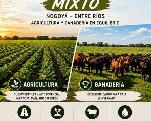 260 Has Campo Mixto Nogoya Entre Rios