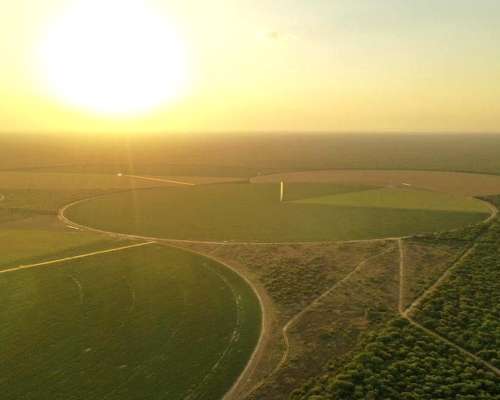 Los Cerrillos, Junín, San Luís - 1.870 Ha