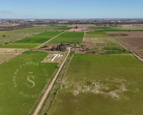Campo Venta Santo Tomé, Santa FE. Zona Countries. 54 Ha