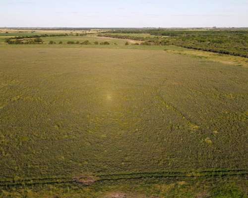 260 Hectáreas Mixtas, Maciá - Rosario del Tala. Entre Rios.