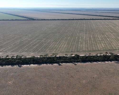 Averías, Taboada, Santiago del Estero - 1.625 Ha
