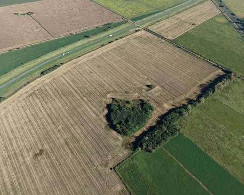 21 HA. Agricolas Sobre RN 34. San Genaro (santa FE)