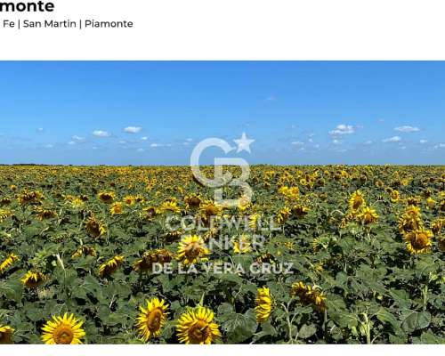 Piamonte, Santa FE, Campo Mixto