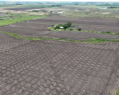 Vendo Campo Mixto Dpto. Gualeguay.