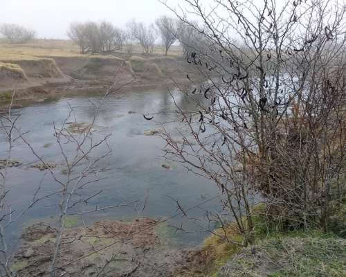 San Nicolás BS AS 25 Has Agricolas a 100 M de Autopista