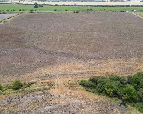 115 Hectáreas Agrícolas Sobre Ruta, Caseros Entre Ríos.