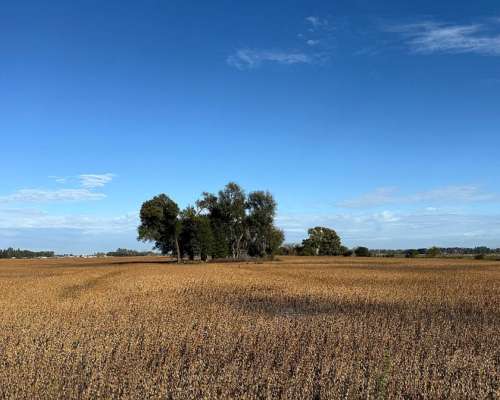 105 Has. Campo Agrícola en San Andres de Giles