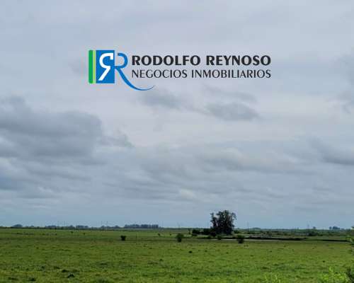 50 HA. en Agrícolas - Ganaderas