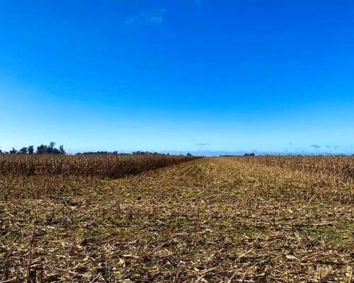 Dueño Vende Excelente Chacra Agrícola Lincoln