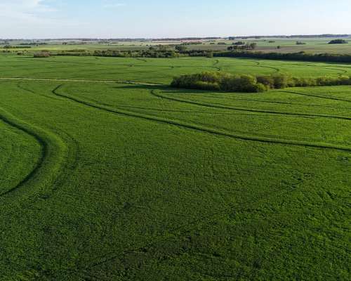 340 Ha Agricolas Capitan Sarmiento