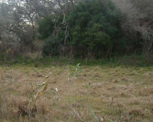 94 Has Ganaderas en Punta Indio, Provincia de Buenos Aires