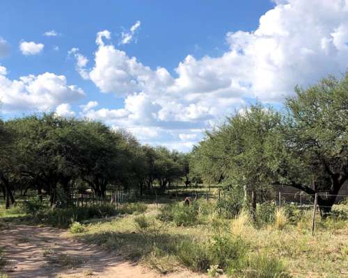 Campo Mixto de 417 Ha a 70 km de Merlo. Permuta.