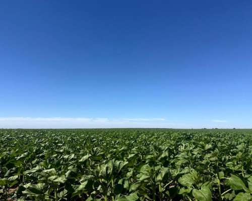 Vendo Campo a 20 Minutos de Villa Mercedes