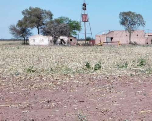 Excelentes 500 Has. Agrícolas en Rapelli, Santiago.