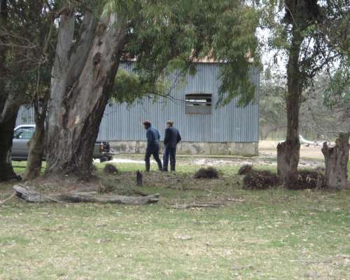 Campo en Alquiler en Suardi, Prov. Santa FE
