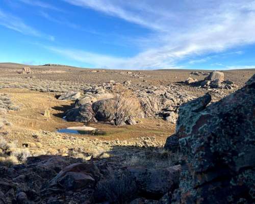 Mencue, el Cuy, Río Negro - 25.640 Ha