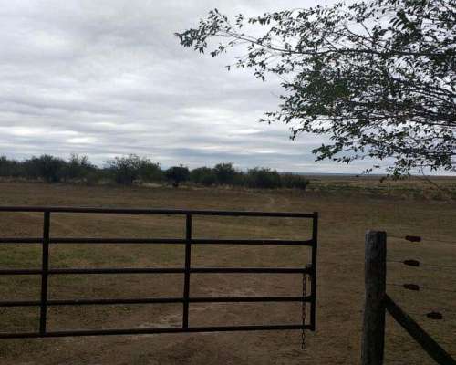 Campo en Venta Zona San Luis