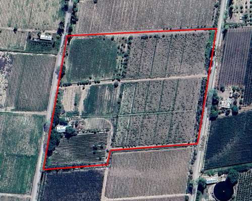 Finca 5.5 Ha con D° de Riego, Junin, Mendoza