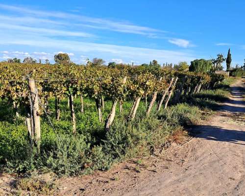 Vendo o Alquilo Finca en Santa Lucía, San Juan