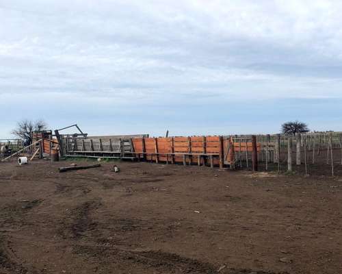 Estancia Ganadera Ideal Cria