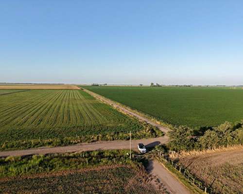 43 HA. Departamento San Martin (santa FE)