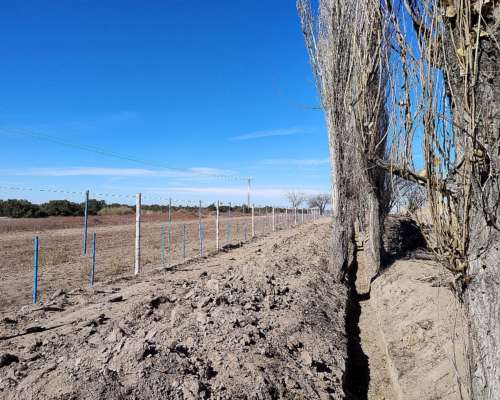 Finca de 140 Has Excelente Calidad de Tierra Cochagual Sjuan