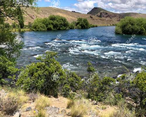 Chacras en Venta Sobre Rio Limay en Rio Negro