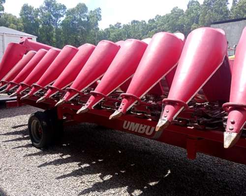 Maicero Ombu 13 a 52 año 2018