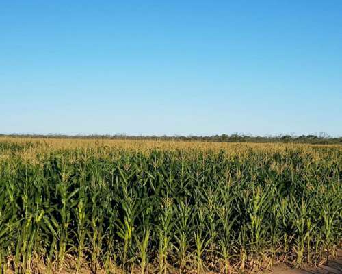 El Bobadal, Jimenez, Santiago del Estero, Argentina