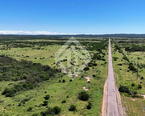 En Venta 6600 Hectáreas Mixtas en la Estrella - Salta