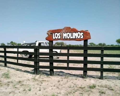 Campo Ganadero en San Luis, de Beazley. 6.000 Hectareas