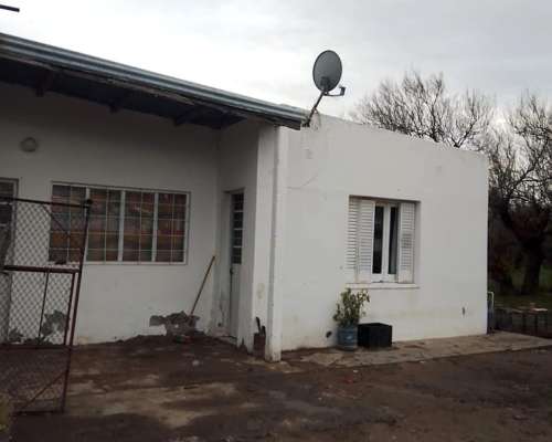 Don Octavio Campo de Cria