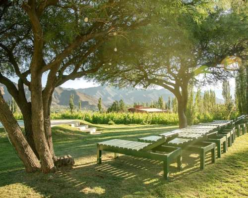 Pcia. de Salta - Bodega Miraluna - Cachi 16 Has